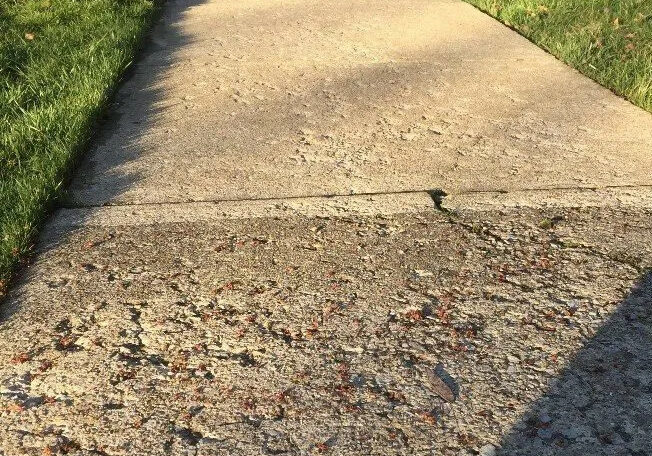 concreteCleaning concreteCleaning